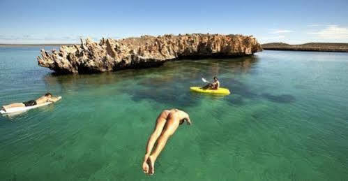 Dirk Hartog Island Eco Lodge Denham Zewnętrze zdjęcie